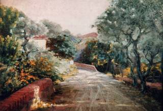 La via del Pitoro - (Strada che sale sul monte Pitoro a Massarosa)