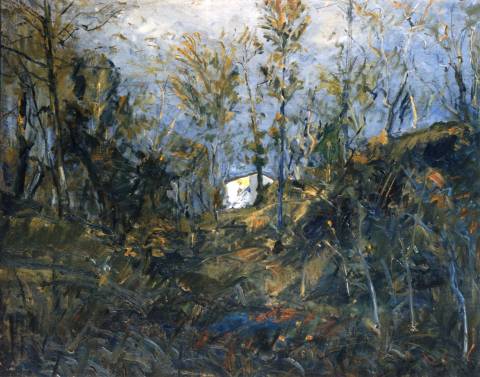 La casa nel bosco